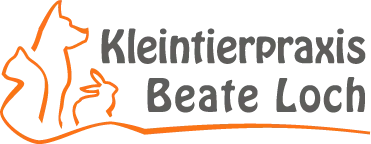 Sonderreinigung Düsseldorf